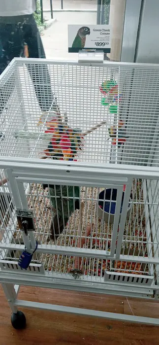 Pet Supermarket Picture 5