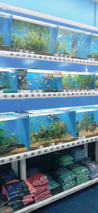 Pet Supermarket Picture 6