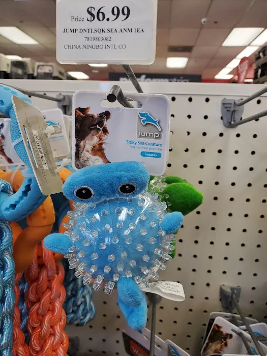 Pet Supermarket Picture 8