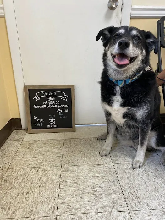 Brookhill Animal Hospital Picture 1