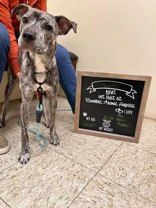 Brookhill Animal Hospital Picture 4