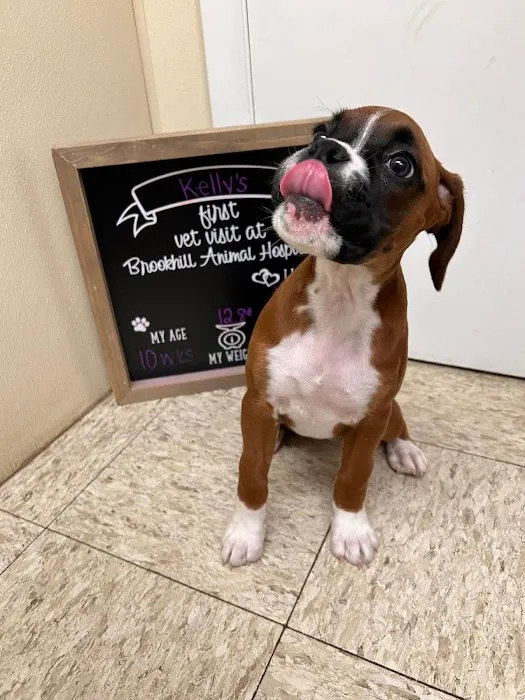 Brookhill Animal Hospital Picture 10