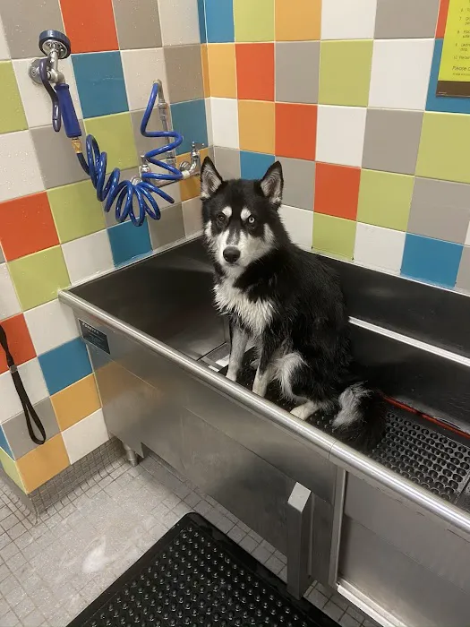 Petco Picture 1