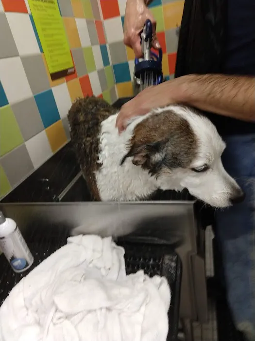 Petco Picture 4