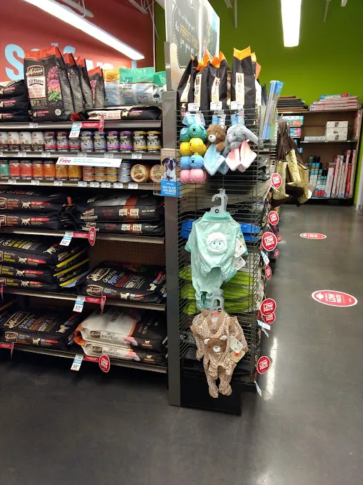 Petco Picture 8