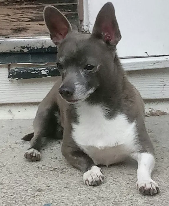 Prettyboy Veterinary Hospital Picture 7