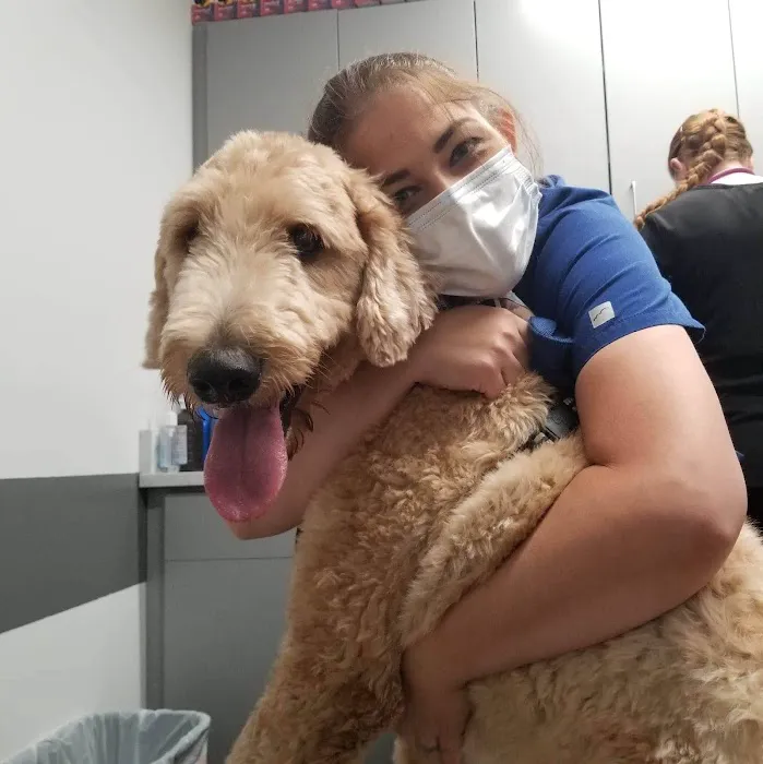 PetVet Vaccination Clinic Picture 5