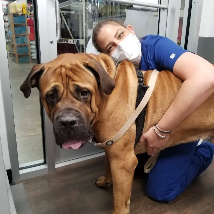 PetVet Vaccination Clinic Picture 6