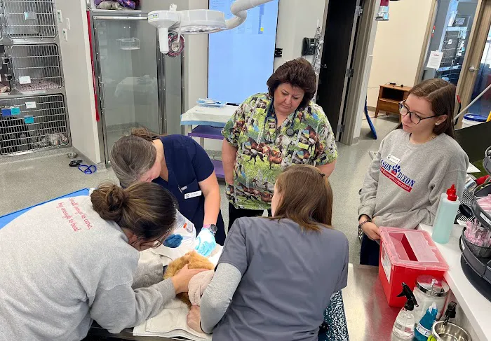 Mason Dixon Animal Emergency Hospital Picture 3