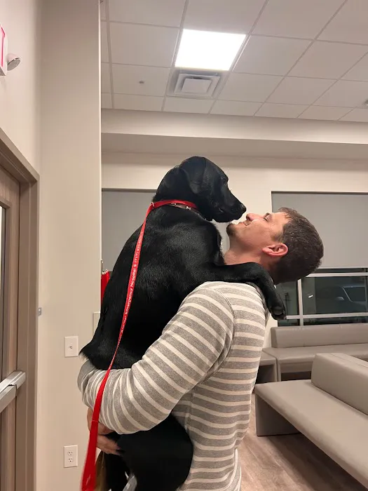 Mason Dixon Animal Emergency Hospital Picture 4