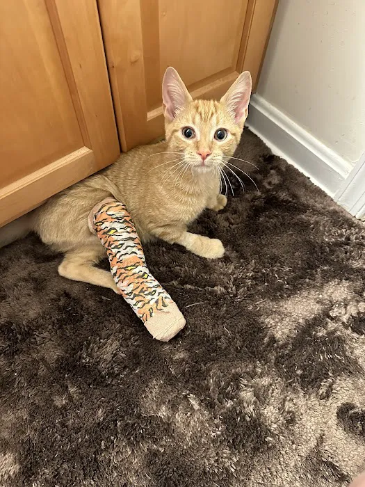 Mason Dixon Animal Emergency Hospital Picture 6