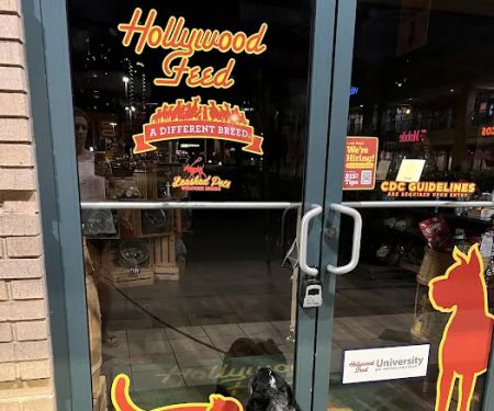 Hollywood Feed