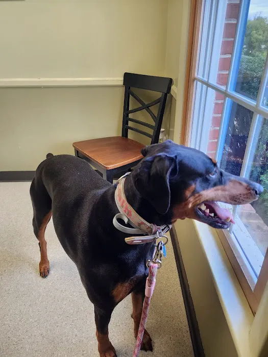 Shrewsbury Veterinary Clinic Picture 2