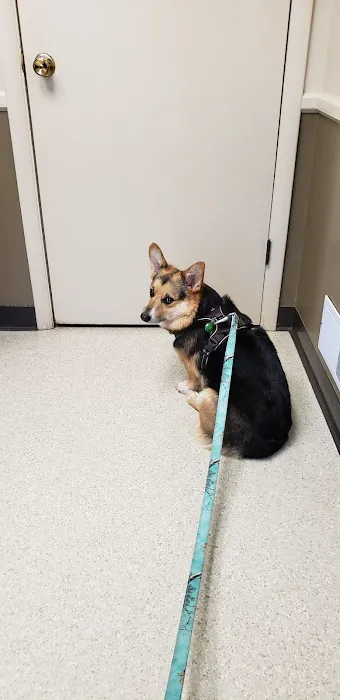 Shrewsbury Veterinary Clinic Picture 3
