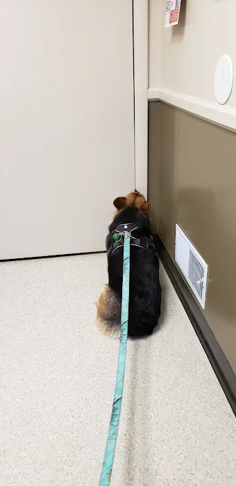 Shrewsbury Veterinary Clinic Picture 6