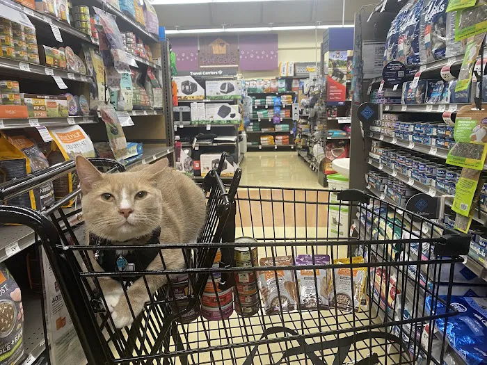 Petco Picture 1