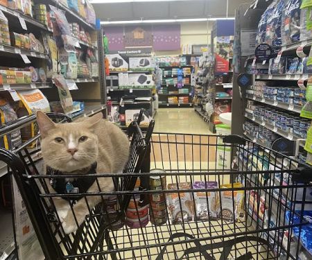 Petco