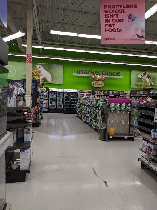 Petco Picture 8