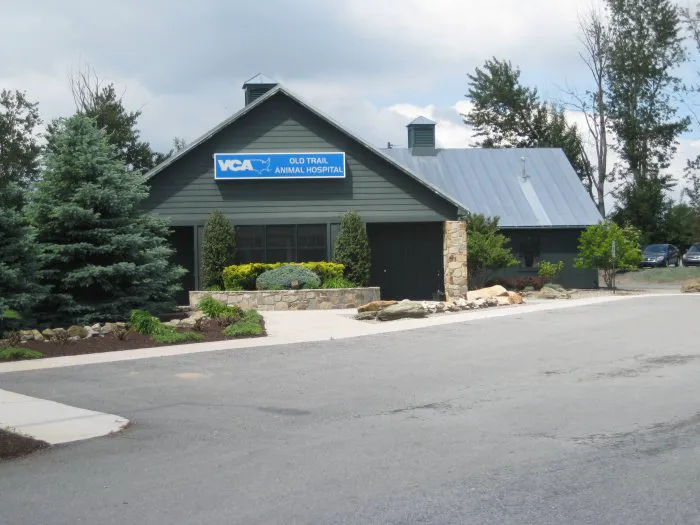 VCA Old Trail Animal Hospital Picture 3
