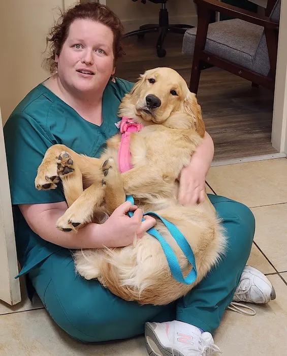 VCA Old Trail Animal Hospital Picture 6