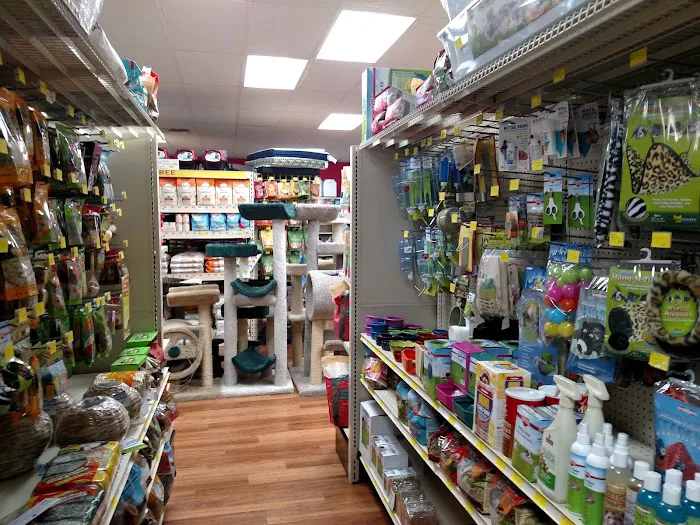 Pet Supermarket Picture 3
