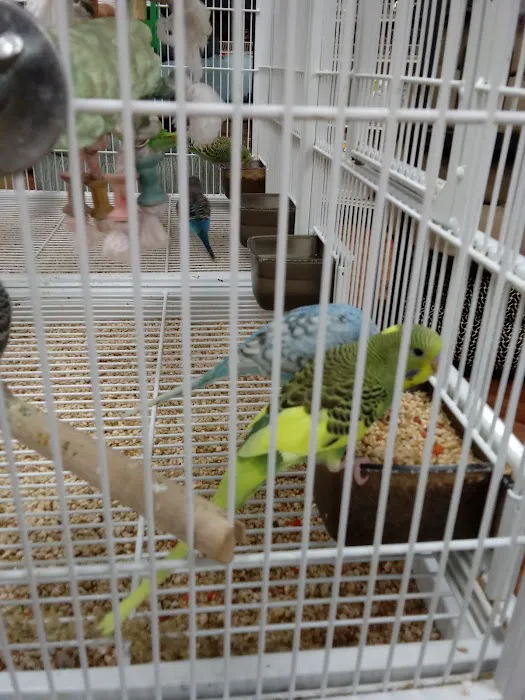 Pet Supermarket Picture 4