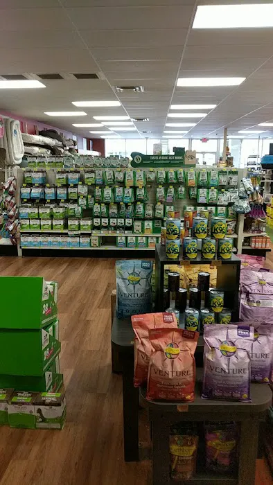Pet Supermarket Picture 5