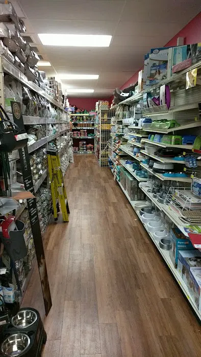 Pet Supermarket Picture 8