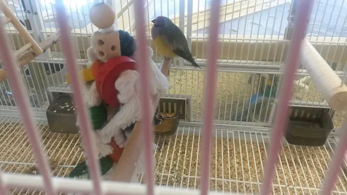 Pet Supermarket Picture 7