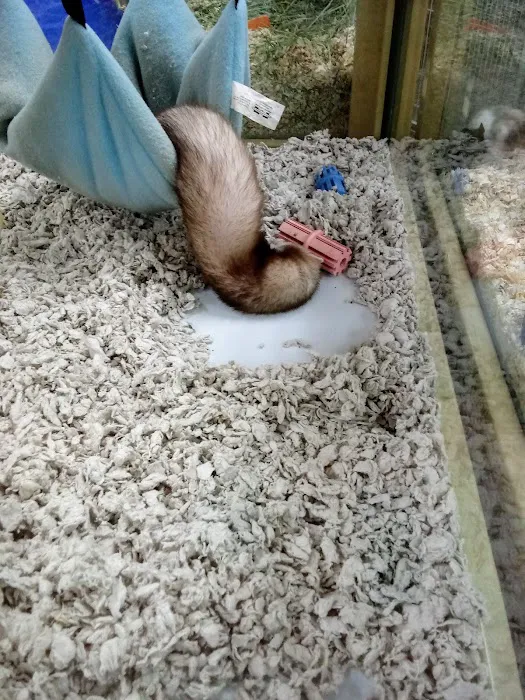 Pet Supermarket Picture 9