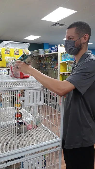 Pet Supermarket Picture 10