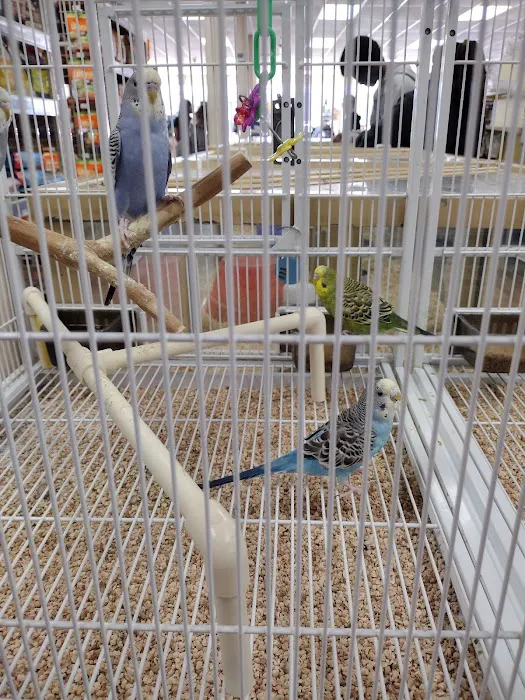 Pet Supermarket Picture 4