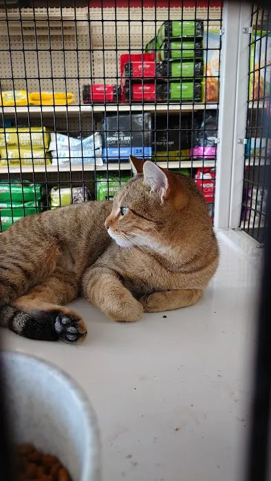 Pet Supermarket Picture 6