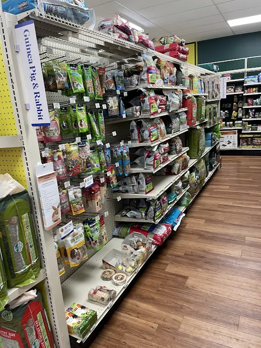 Pet Supermarket Picture 8
