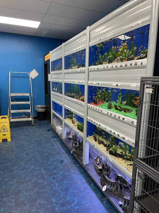 Pet Supermarket Picture 9