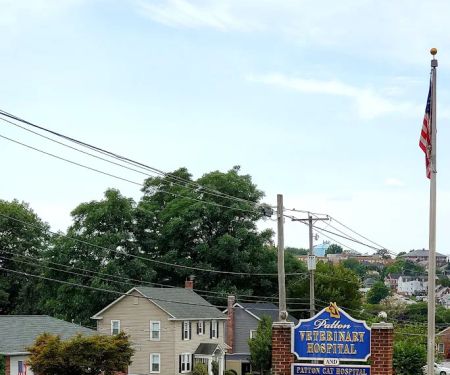 Patton Veterinary Hospital