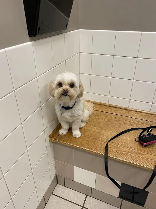 Patton Veterinary Hospital Picture 2