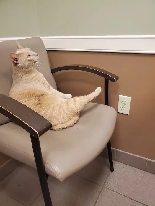 Patton Veterinary Hospital Picture 5