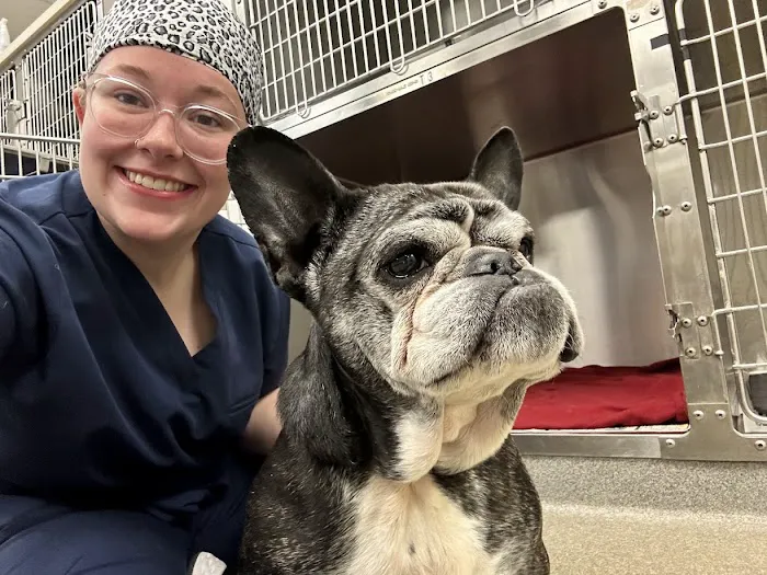 Patton Veterinary Hospital Picture 10