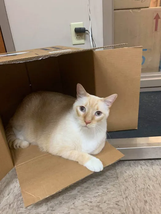 Cape Horn Veterinary Associates Picture 1