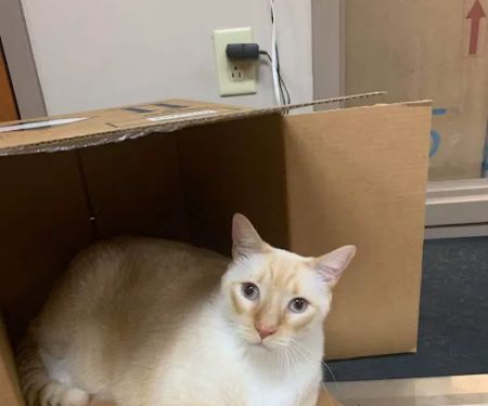 Cape Horn Veterinary Associates