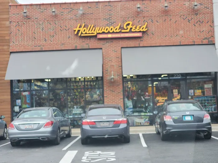 Hollywood Feed Picture 7