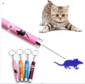 AtPetShops Picture 2