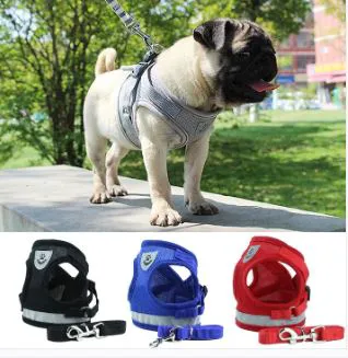 AtPetShops Picture 5