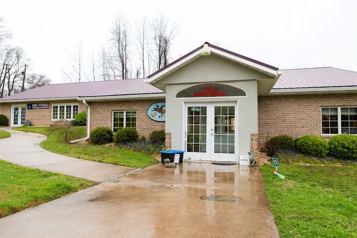 Celebrie Veterinary Hospital Picture 2