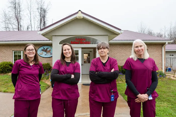 Celebrie Veterinary Hospital Picture 1
