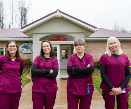 Celebrie Veterinary Hospital