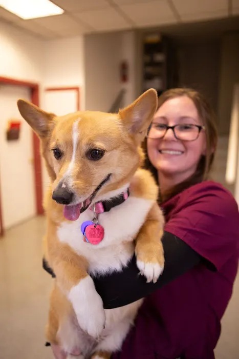 Celebrie Veterinary Hospital Picture 5