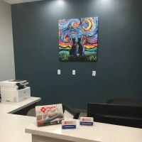 Urgent VET Care ico