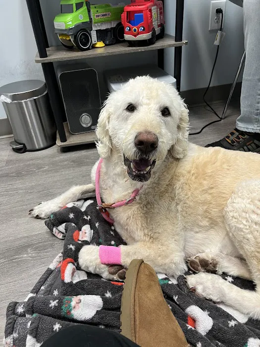 Urgent VET Care Picture 4